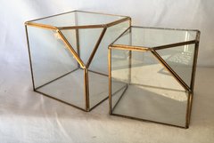 Box Terrarium