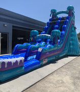 jellyfish water slide ( requires wide entrance to yard)
