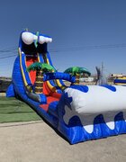 Sighted Wave Water Slide (requires wide entrance to yard)