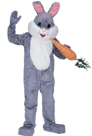 Easter Bunny Costume Rental | sandiegokidspartyrentals.com | easter