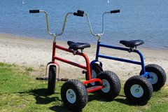 Adult Tricycle Pair