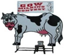 Cow Milking Contest