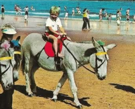 Donkey Ride