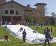 15,000 lbs of Snow (play area)