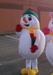 Mr Snowman Costume Character