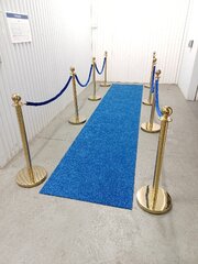 15ft Blue Carpet and (8) Gold Stanchions (step and repeat)
