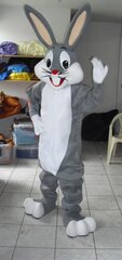 Cartoon Bunny Costumed Character Mascot