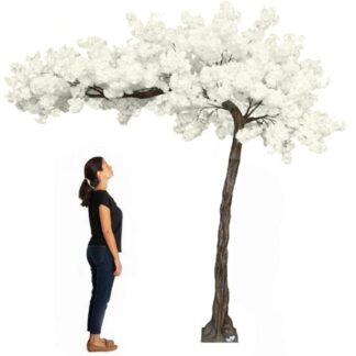 11ft Tall Grand Arch Cherry Blossom Tree (white)
