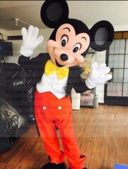 Boy Mouse Costumed Character