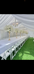 20x30 canopy drapped