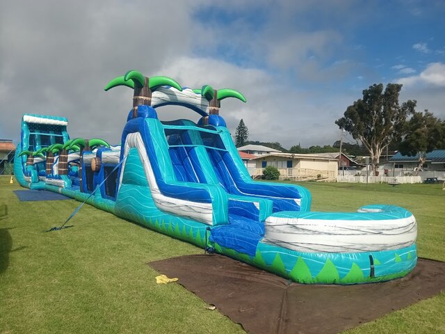 110' Long Paradise Palms Dual Lane Obstacle