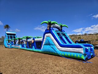110' Paradise Palms Dual Lane Obstacle