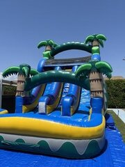 Slippery Palms