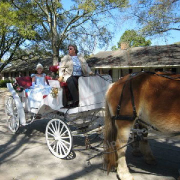 Horse Drawn Carriage