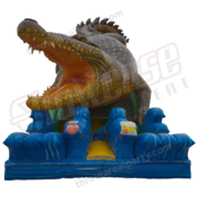 30' Croc Slide