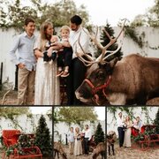 Reindeer and Sleigh