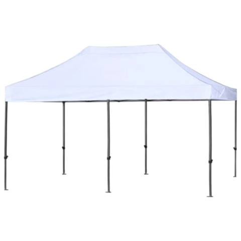 20' x 10' Canopy