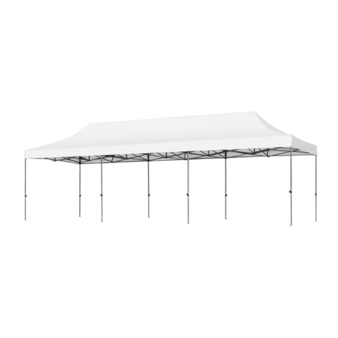 30' x 10' Canopy