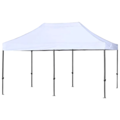 20' x 10' Canopy