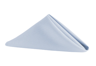 Polyester Napkin 20