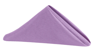 Polyester Napkin 20