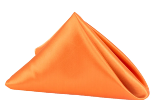 Burnt Orange Satin Napkin 20