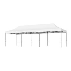 30' x 10' Canopy