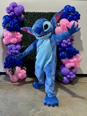 Stitch-Inspired Costume Rental		