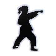 Karate Silhouette