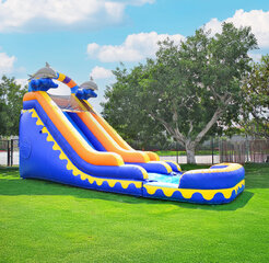 18ft Dolphin Splash