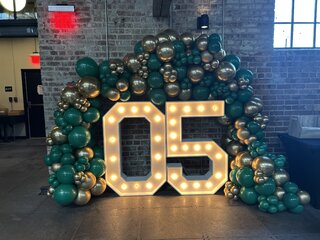 16ft Deluxe Balloon Garland Wrap