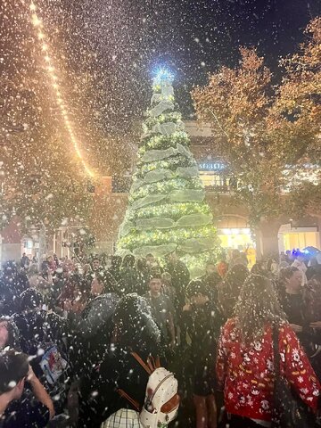 Christmas Tree Lightings snow machine rental in Collegedale, TN