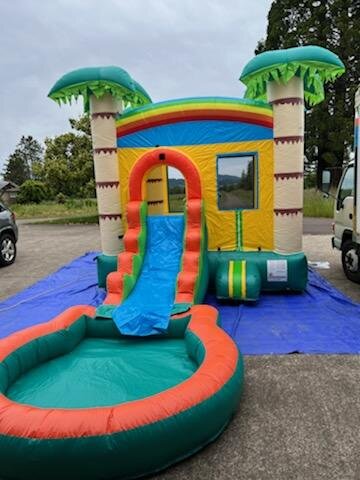 Palm Tree Combo Water Slide into Pool (Only Younger Kids)