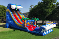 Shark Attack Dual Lane Slide with Pool