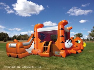 Tiger Belly Combo Bounce House (Dry)