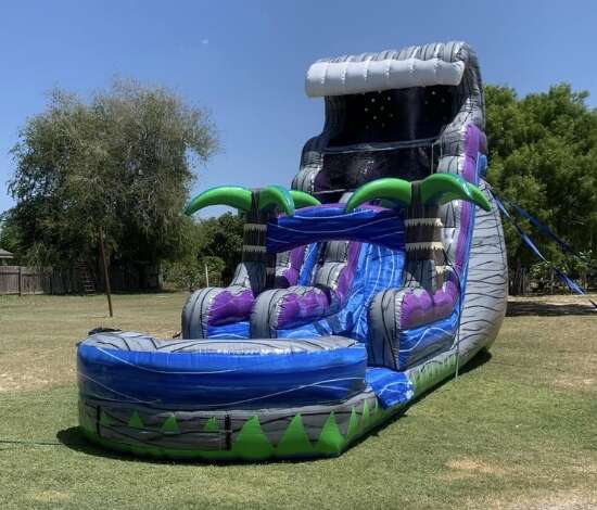 Purple tropical palm tree water slide rental in McAllen, TX from Sky High Rentals