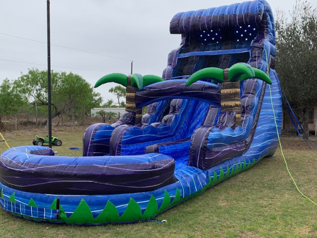 20ft Purple Wave Double Slide