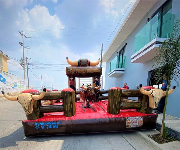 Mechanical Bull