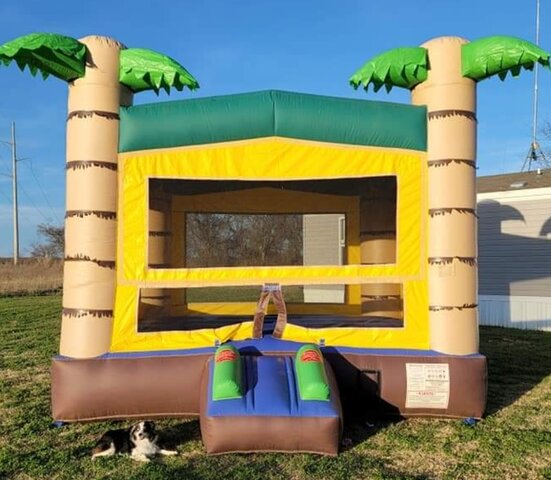 15 ft.Tropical Themed Bounce House