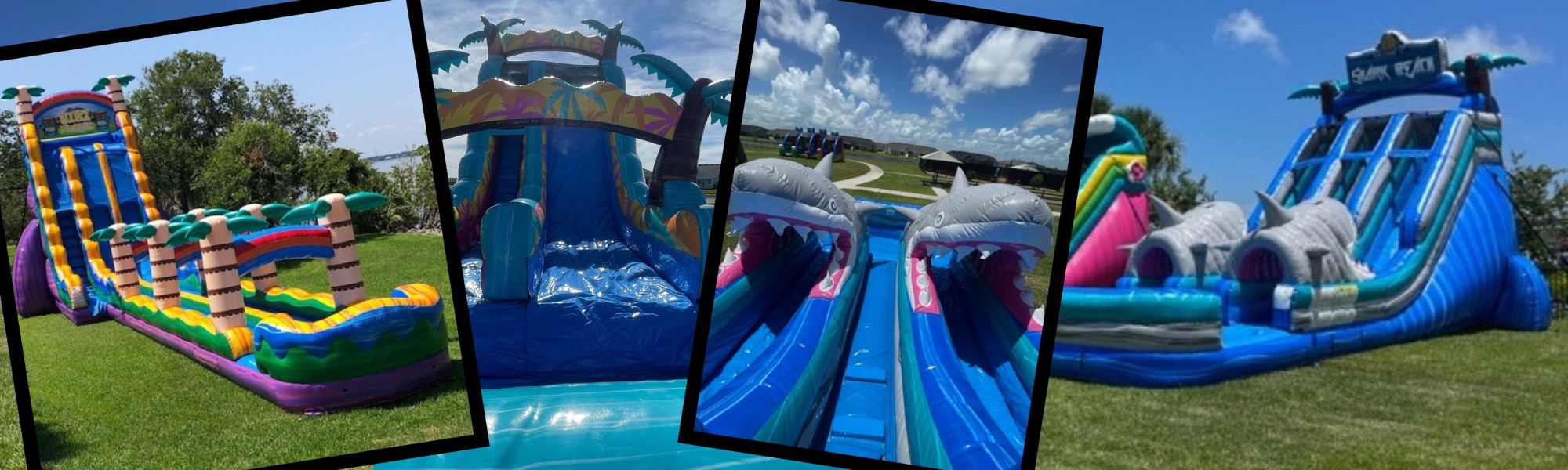 Check Availability Here