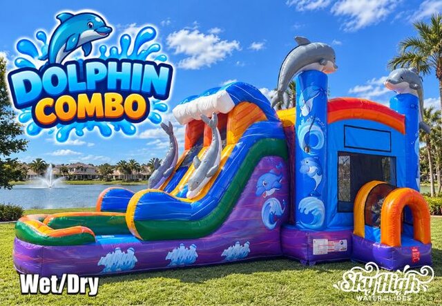 Dolphin Double Lane Combo