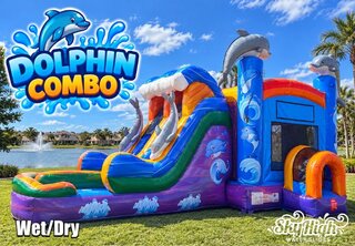 Dolphin Double Lane Combo