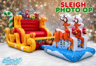 Reindeer and Sleigh Photo Op Station