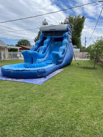  17 ft Dolphin Water Slide