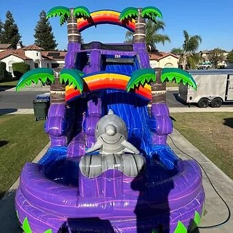 15 ft Dolphin Waterslide