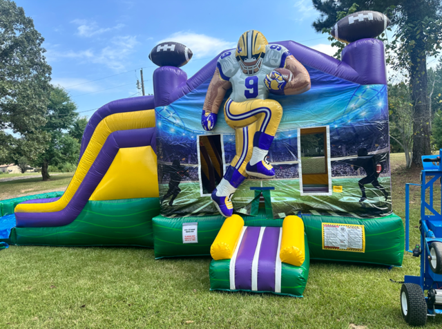 Purple and Gold Bounce/waterslide with pool or dry slide