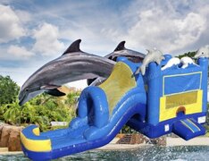 Dolphin wet slide