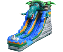 Water Slides