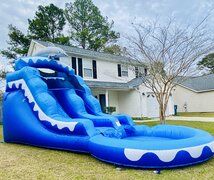 Dolphin Waterslide 13ft