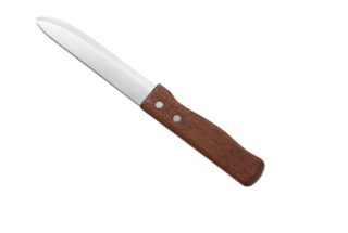 Stainless Steak Knife